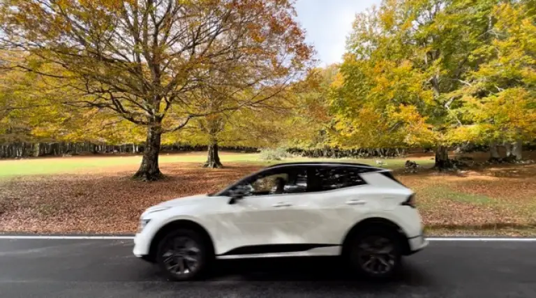 Kia Sportage HEV - 7
