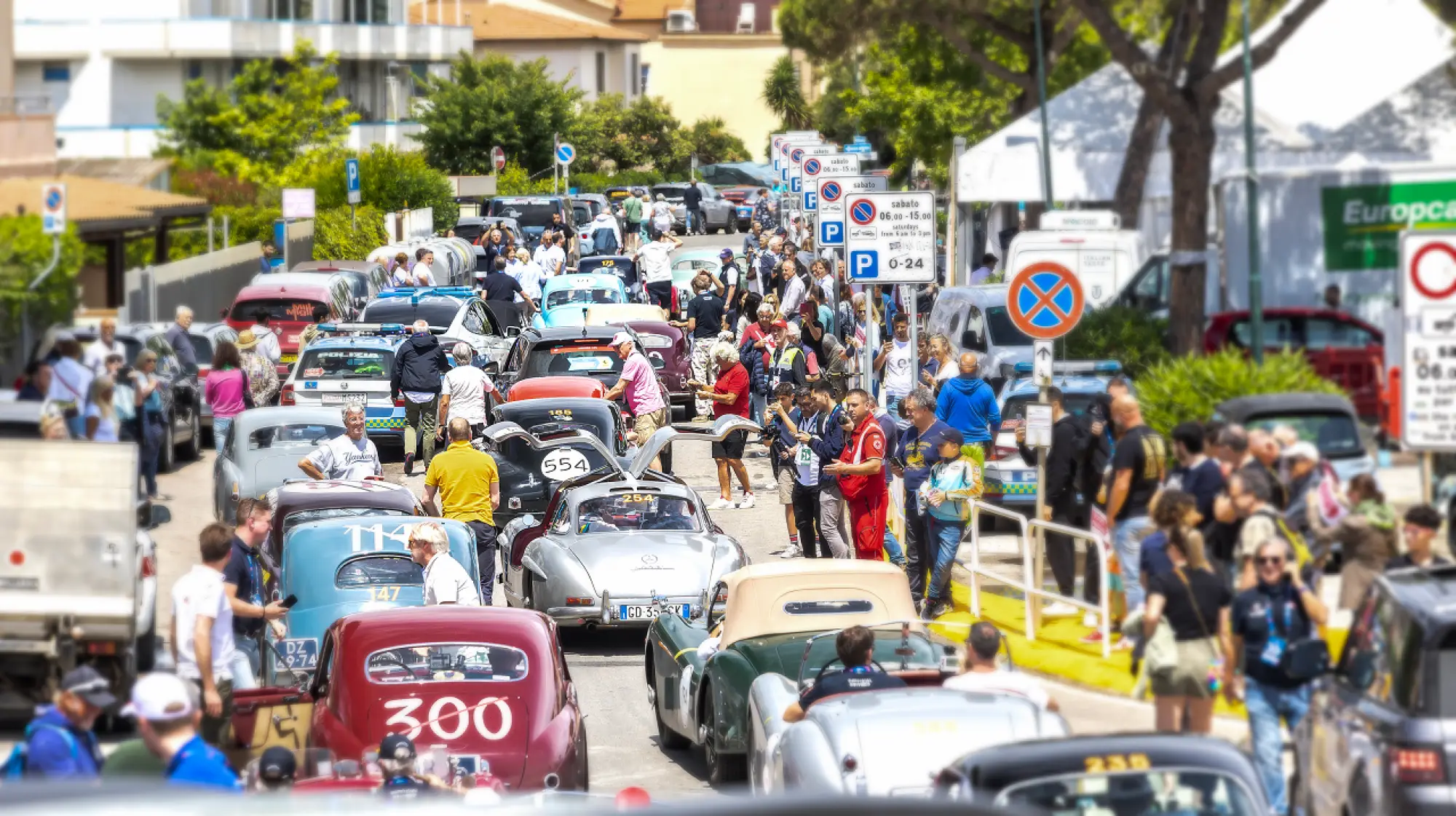 Alfa Romeo trionfa alla 1000 Miglia 2024 - 7