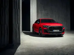 Audi RS Q8 Performance - 24