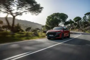 Audi RS Q8 Performance - 35