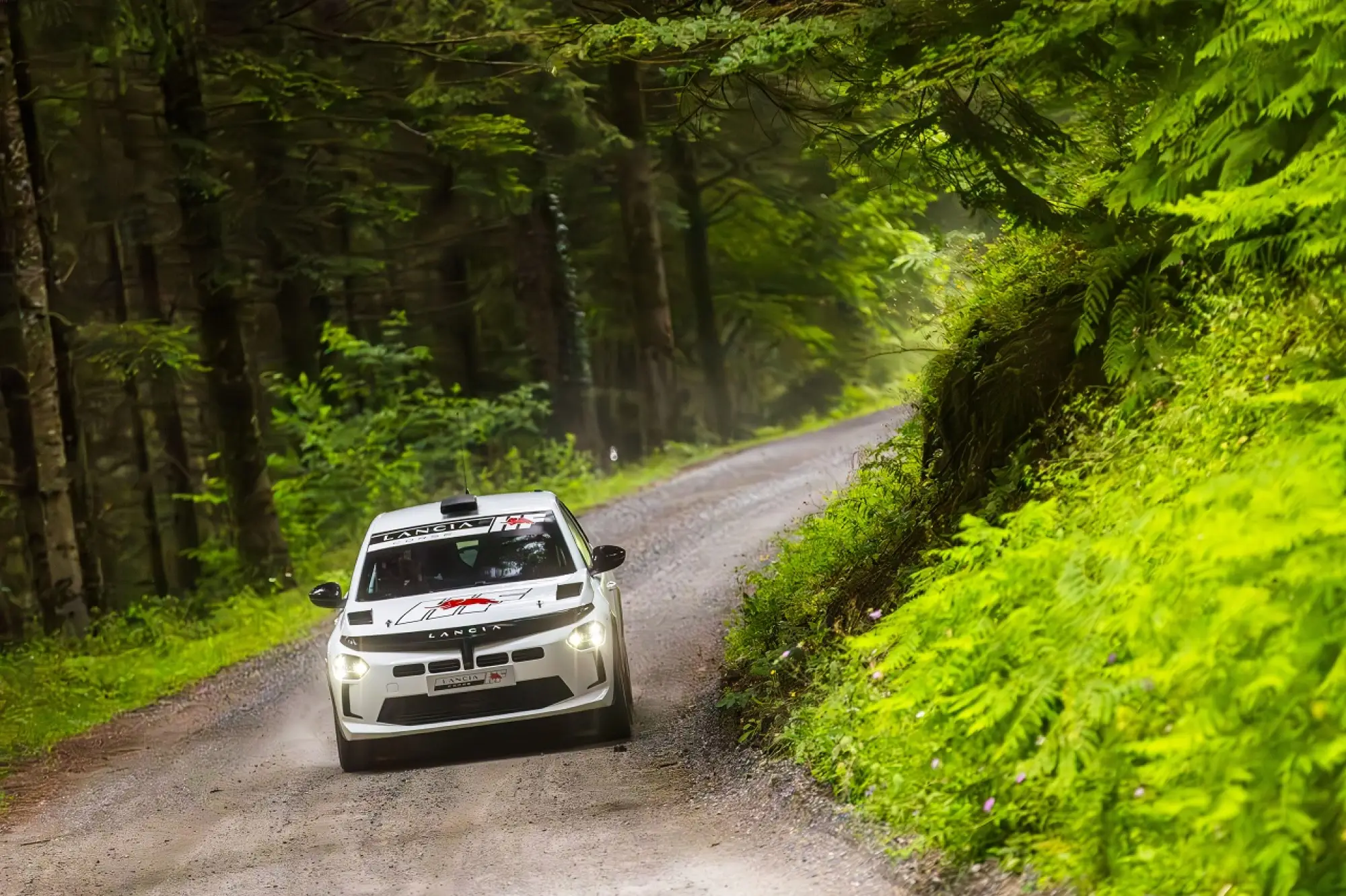Miki Biasion ha guidato Lancia Ypsilon Rallly 4 HF - 7