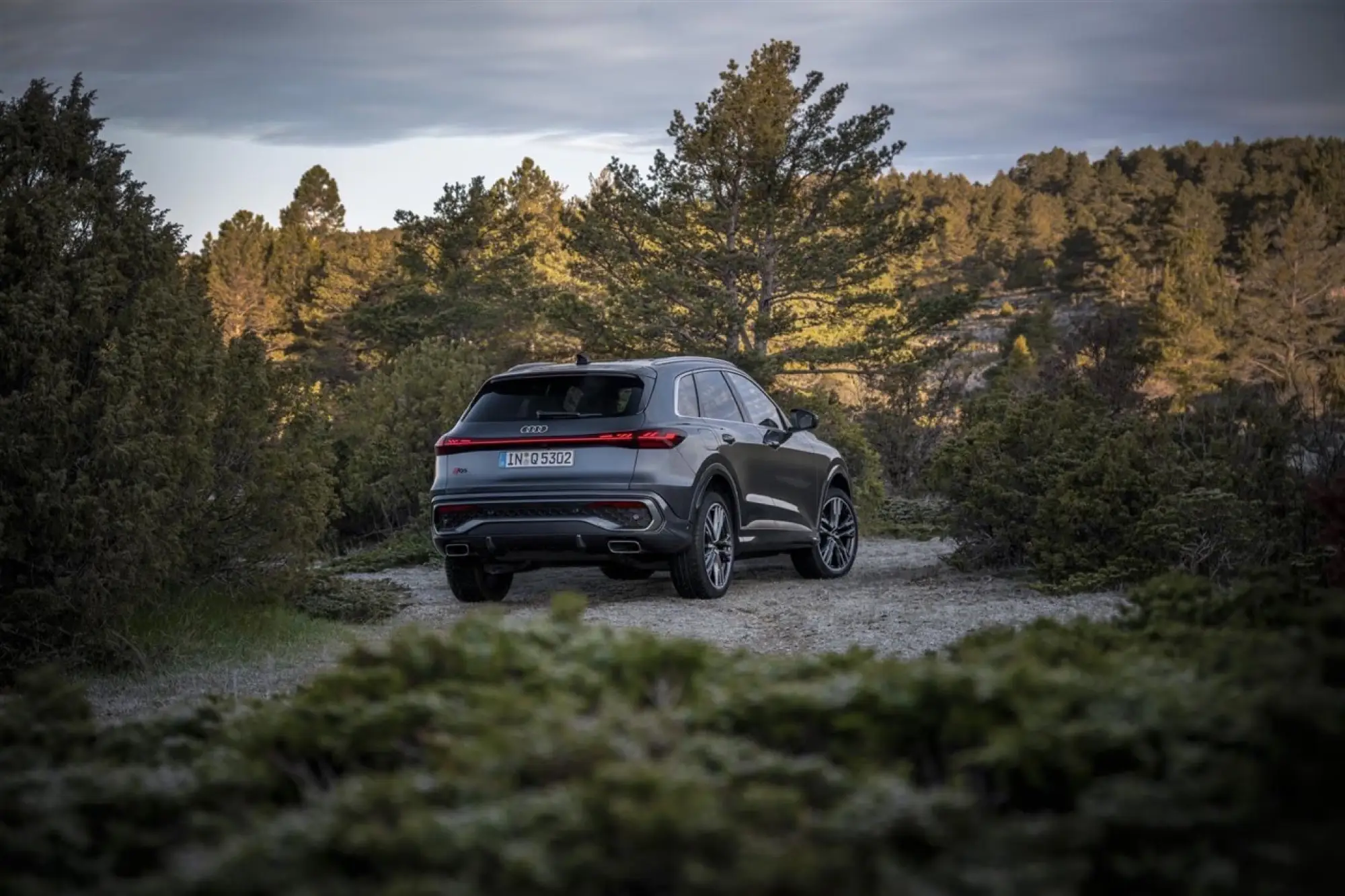 Audi Q5 2025 - Foto ufficiali - 3
