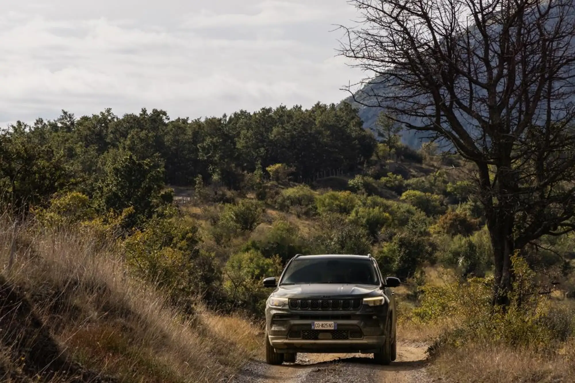 Jeep Renegade e Compass North Star - 24