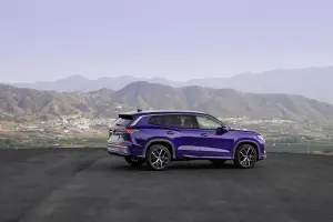 Volkswagen Tayron - 96