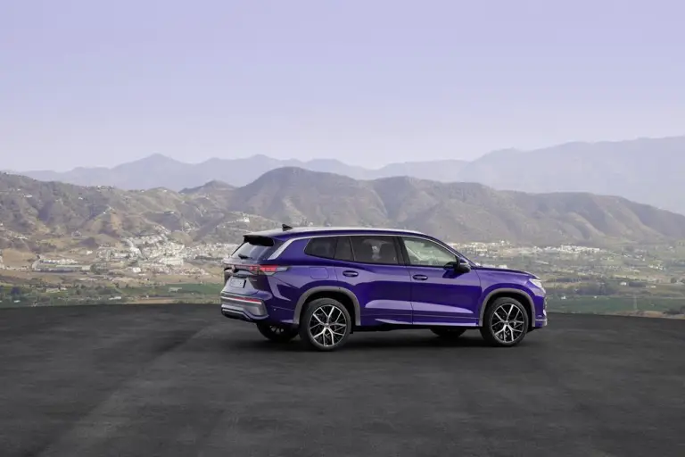 Volkswagen Tayron - 96
