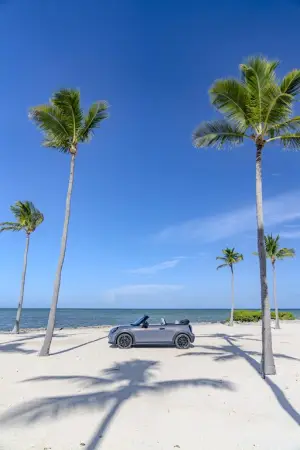 Mini Cooper Cabrio 2024 - 57