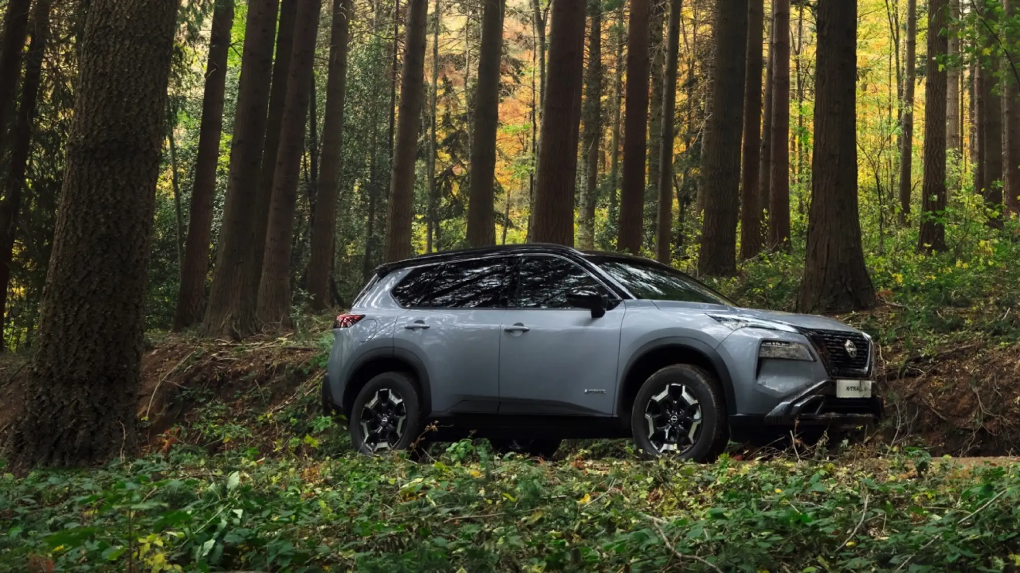Nissan X-Trail N-Trek 2024 - 4