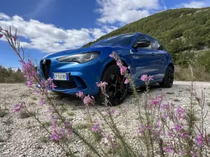 Alfa Romeo Stelvio Quadrifoglio Car Var - 9