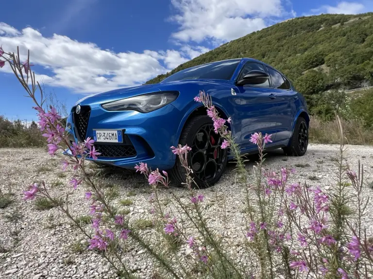 Alfa Romeo Stelvio Quadrifoglio Car Var - 9