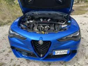 Alfa Romeo Stelvio Quadrifoglio Car Var - 14