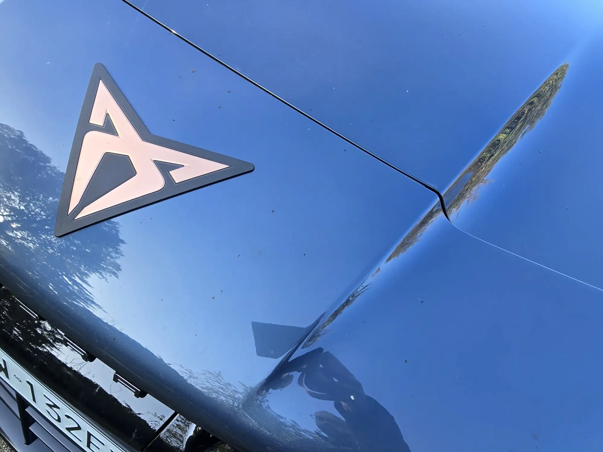 Cupra Tavascan Come Va 2024 - 2