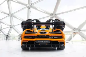 McLaren Senna LM - Asta gennaio 2025