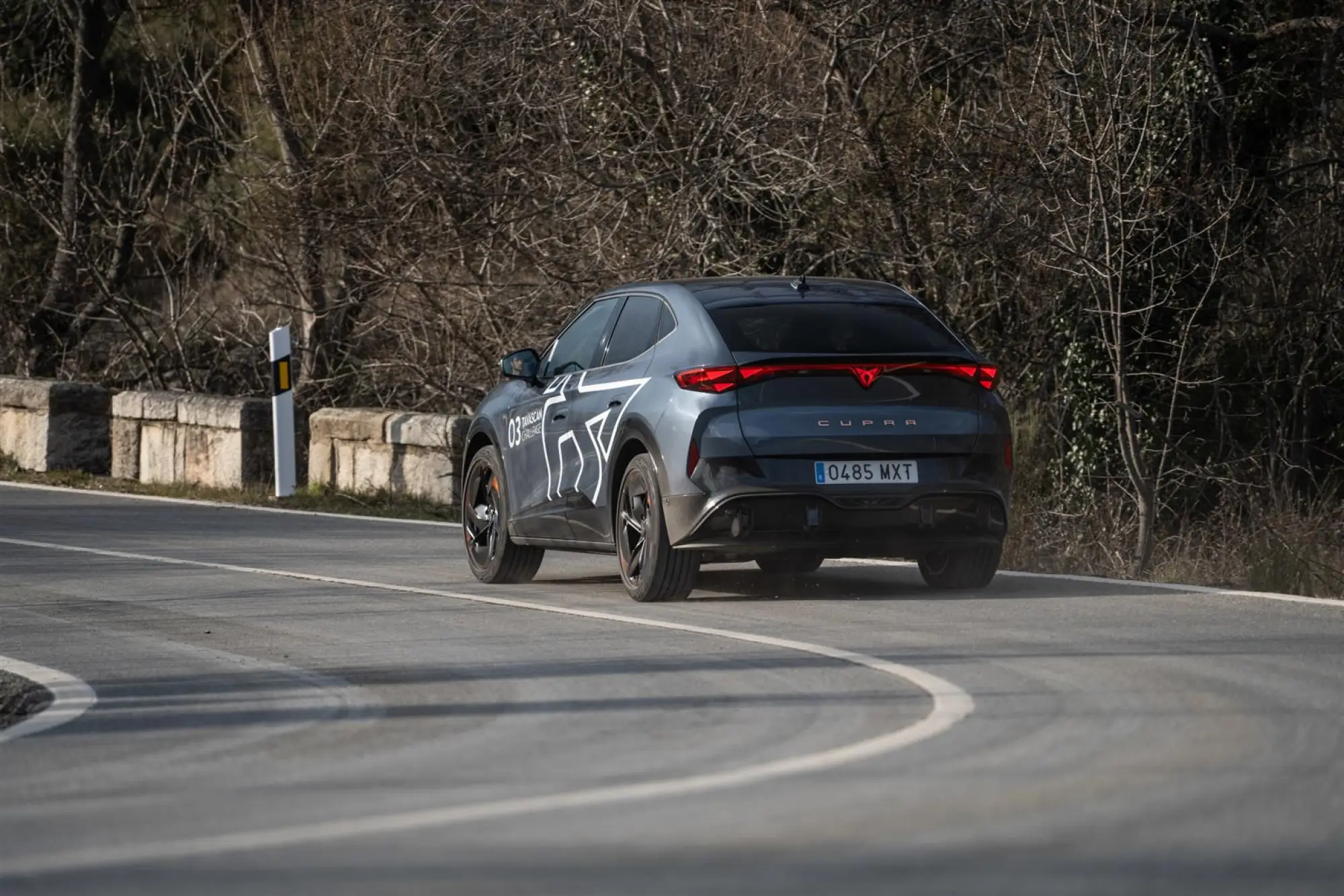 Cupra Tavascan Endurance - 2