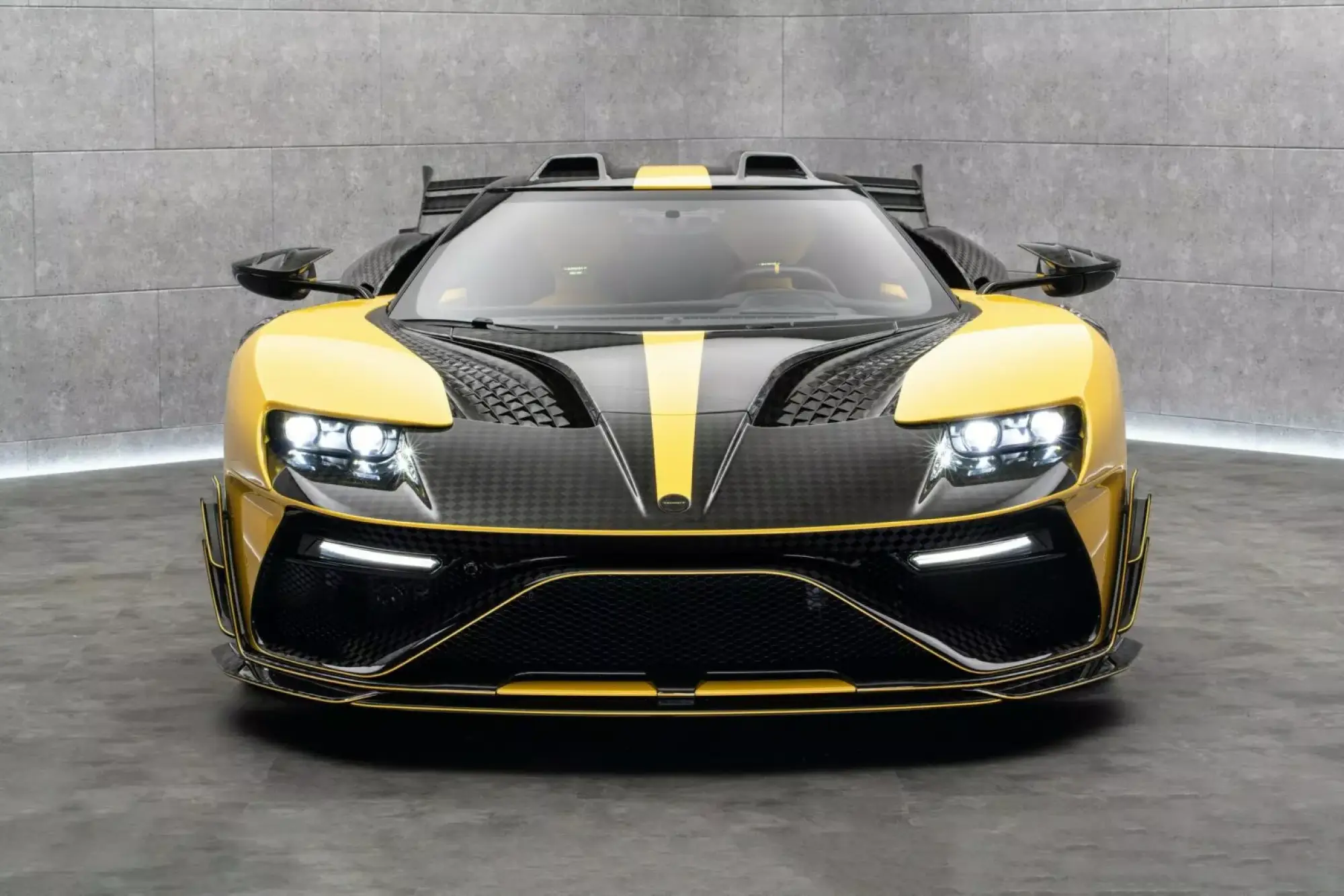 Mansory Ford GT Le Mansory Under Armour - 9
