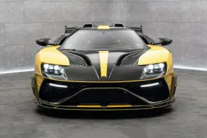Mansory Ford GT Le Mansory Under Armour - 9