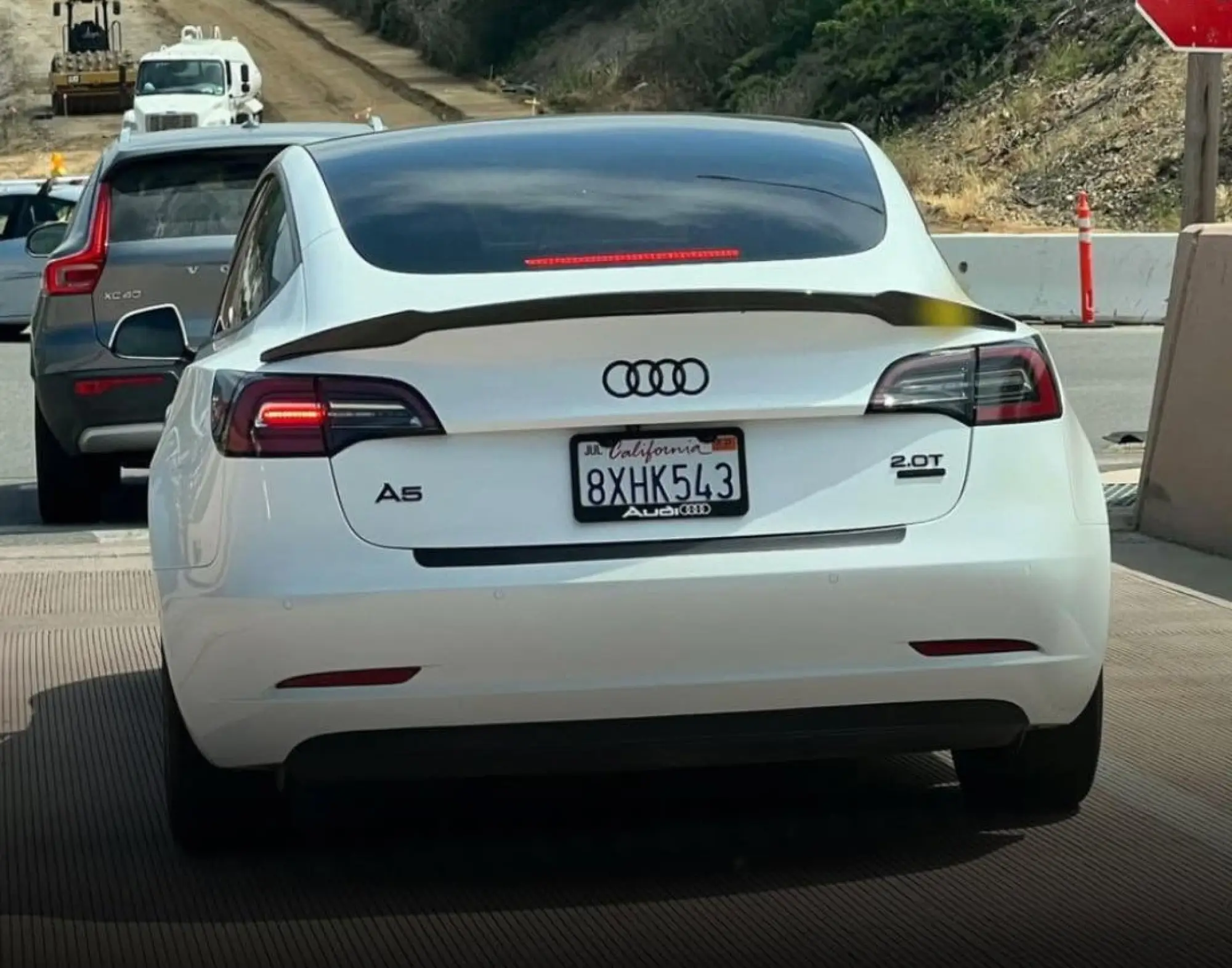 Tesla camuffate dai proprietari - 2