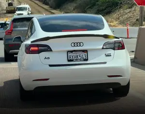 Tesla camuffate dai proprietari - 2
