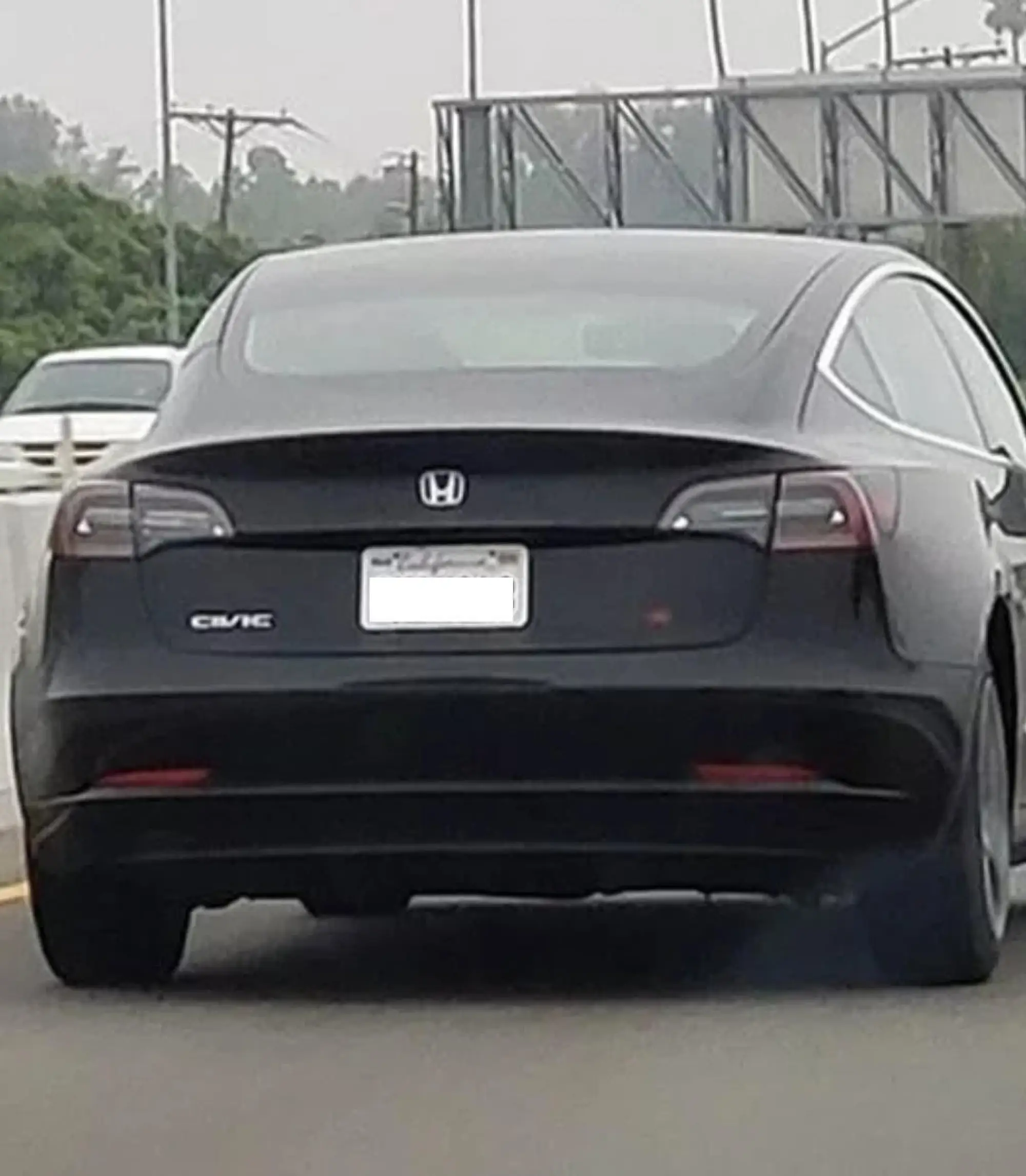 Tesla camuffate dai proprietari - 1