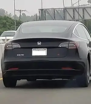 Tesla camuffate dai proprietari - 1