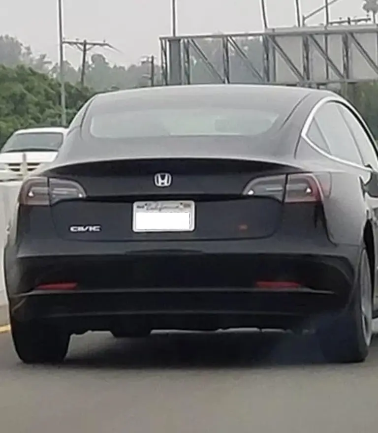 Tesla camuffate dai proprietari - 1
