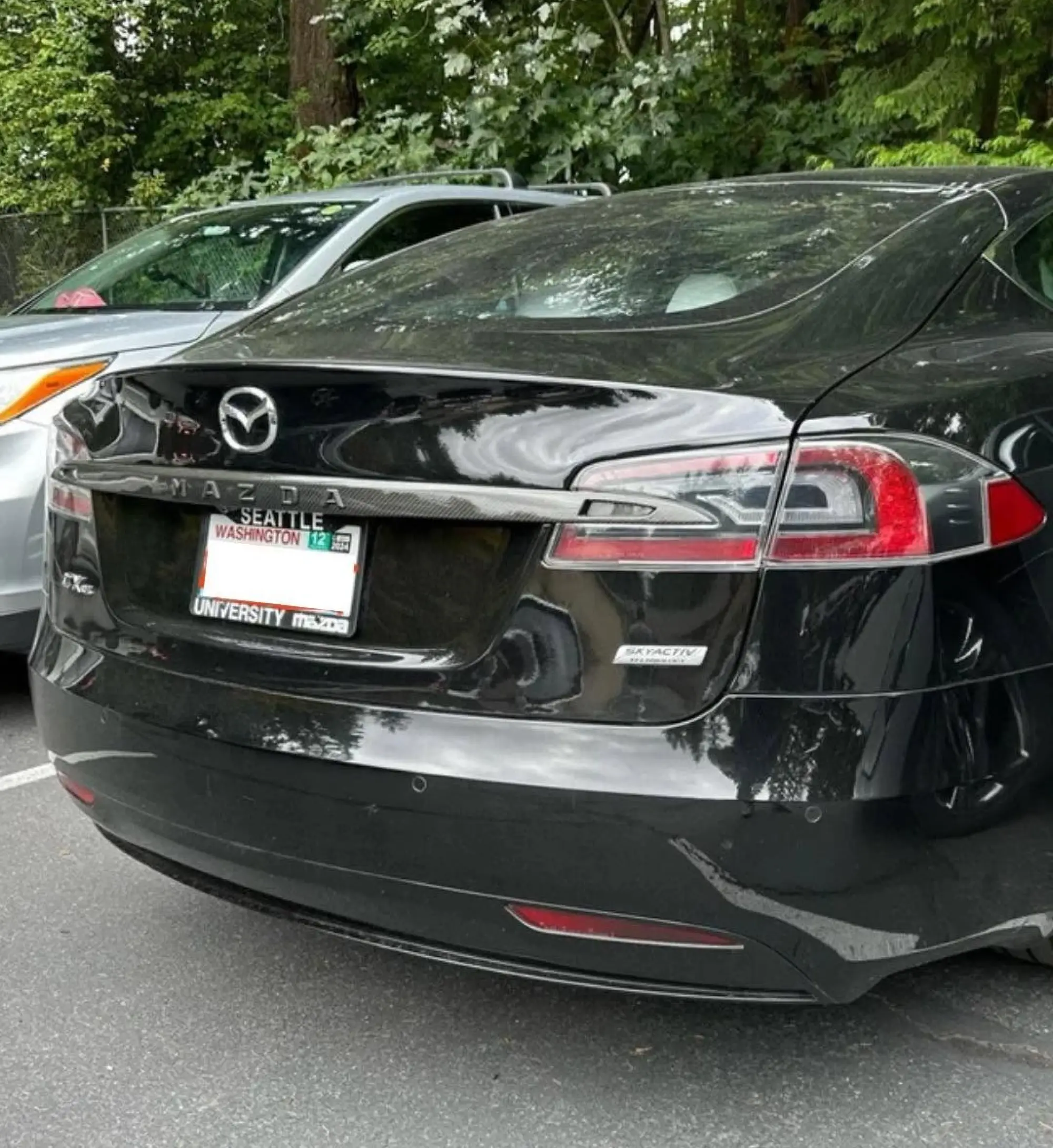 Tesla camuffate dai proprietari - 3