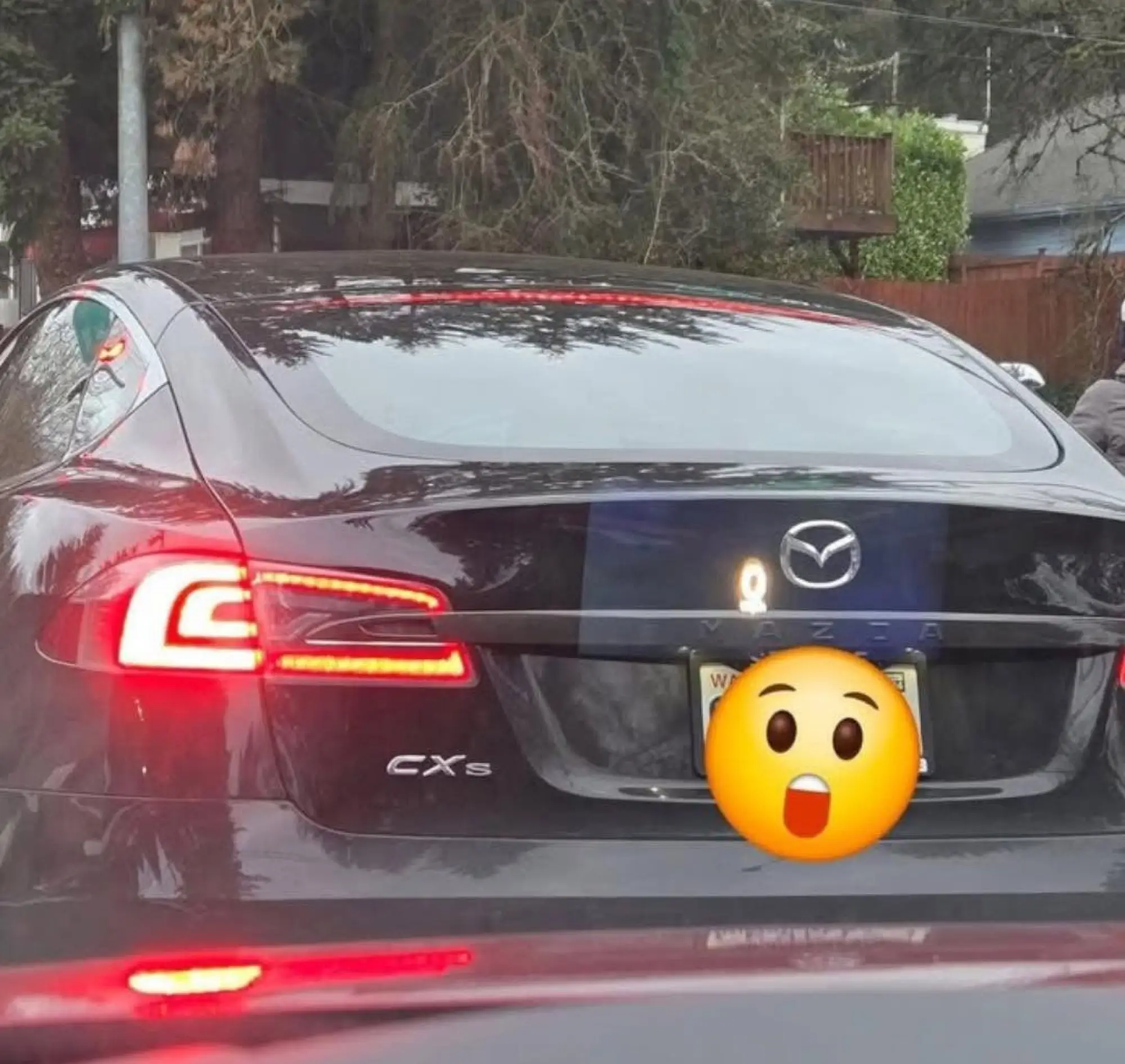 Tesla camuffate dai proprietari - 4