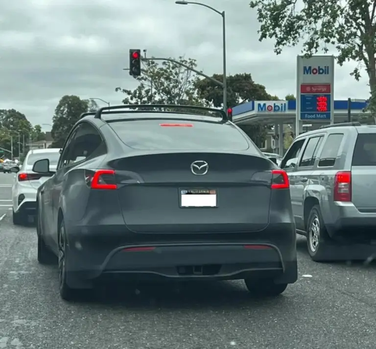 Tesla camuffate dai proprietari - 6