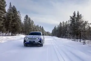 Alpine A390 - Foto test invernali 5-3-2025
