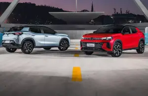 Volkswagen Tera - 10