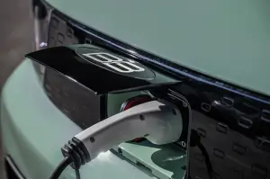 DR Birba - 8