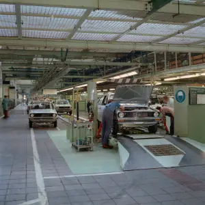 Volkswagen Polo - Celebrazione 50 anni - 6