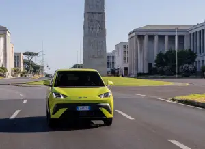 BYD Dolphin Surf - 100