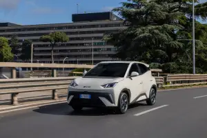 BYD Dolphin Surf - 110