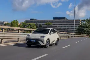 BYD Dolphin Surf - 105