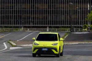 BYD Dolphin Surf - 120