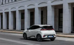BYD Dolphin Surf - 128
