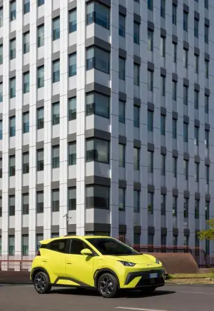 BYD Dolphin Surf - 123