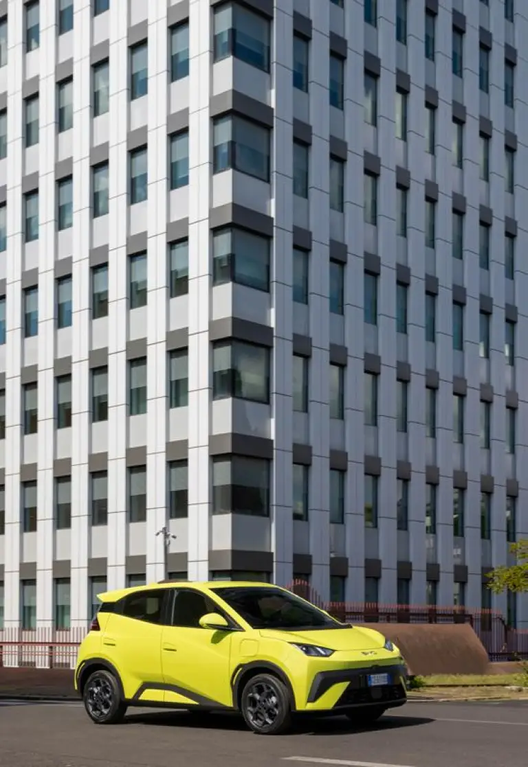 BYD Dolphin Surf - 123