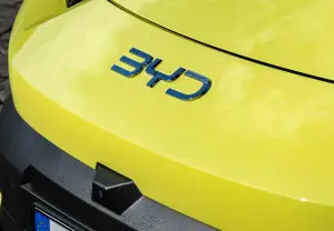 BYD Dolphin Surf - 10