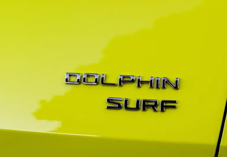 BYD Dolphin Surf - 132