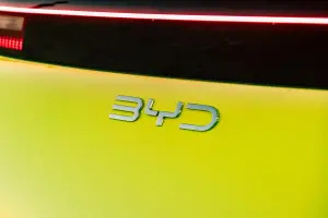 BYD Dolphin Surf - 131