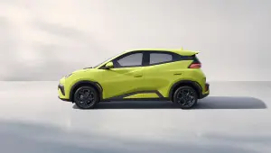 BYD Dolphin Surf - 140