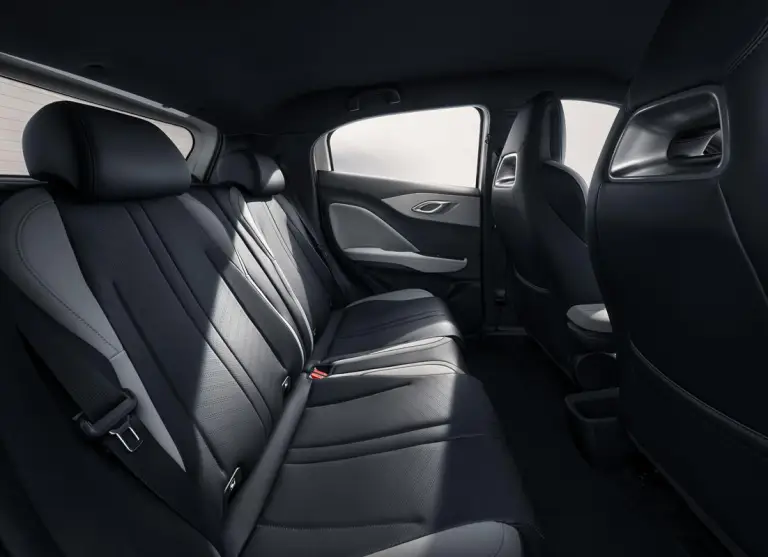 BYD Dolphin Surf - 149