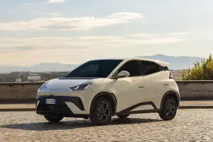 BYD Dolphin Surf - 15