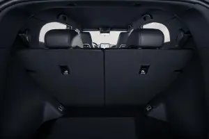 BYD Dolphin Surf - 170