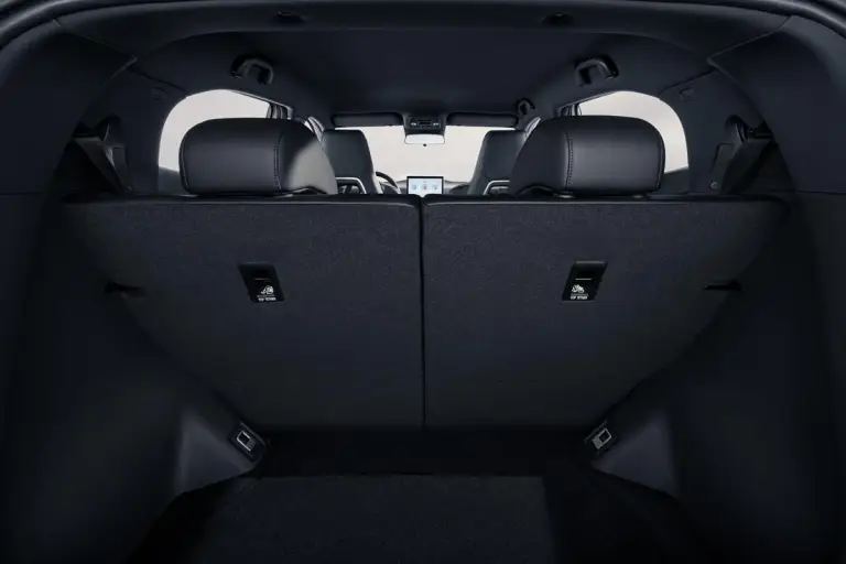 BYD Dolphin Surf - 170