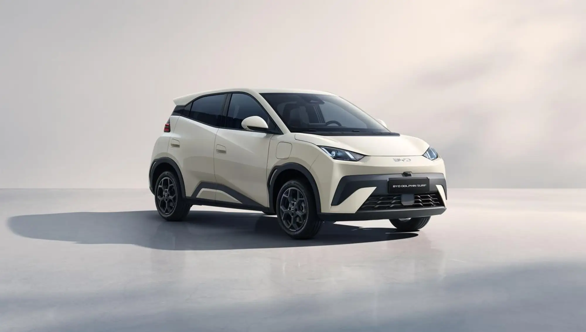 BYD Dolphin Surf - 179