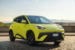 BYD Dolphin Surf - 1