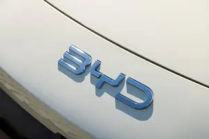 BYD Dolphin Surf - 24