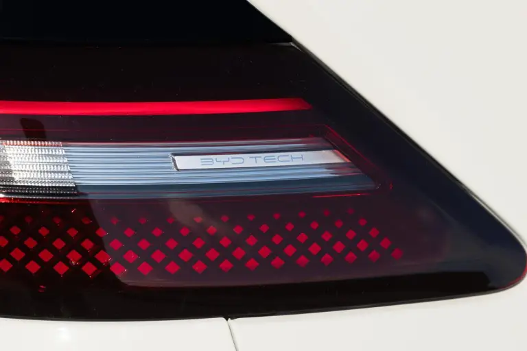 BYD Dolphin Surf - 27